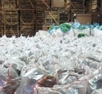 About Us - Best Used Shoes Wholesale